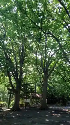 相馬神社(北海道)