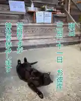 高司神社〜むすびの神の鎮まる社〜の動物