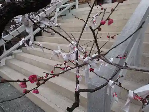 静岡天満宮の自然