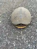 金龍院(千葉県)