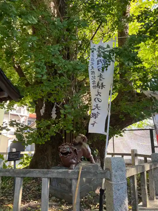 海南神社(神奈川県)
