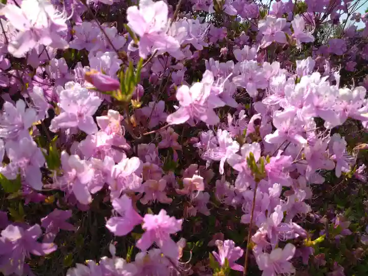 牛窓神社(岡山県)