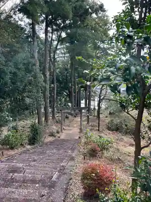 大宮神社(栃木県)