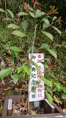 熊野神社の自然