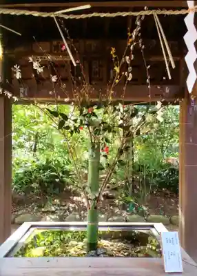 赤坂氷川神社(東京都)