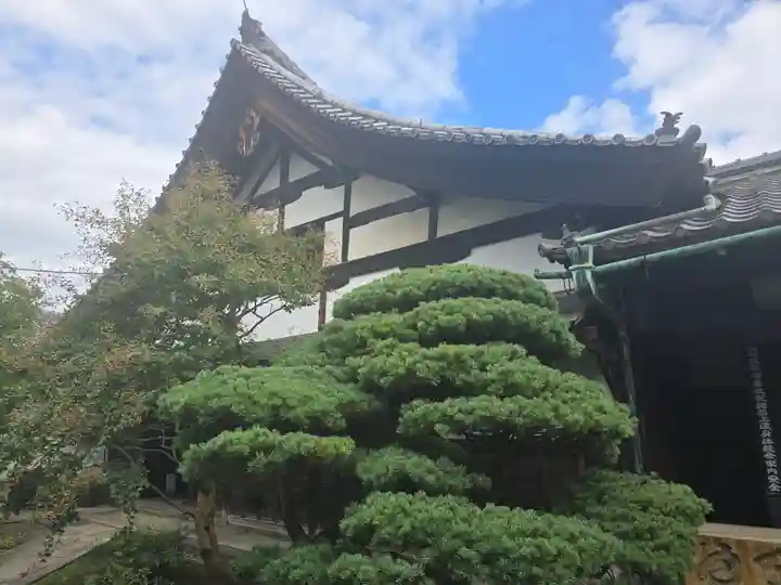 観智院(東寺子院)(京都府)