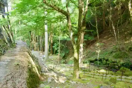 古知谷阿弥陀寺の庭園