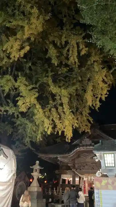 田無神社(東京都)