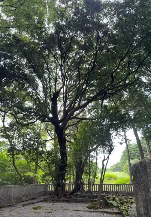 山宮浅間神社(静岡県)