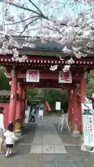 一乗院(身代不動尊) の山門