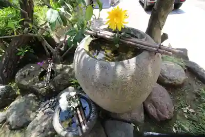 龍泉院(東京都)