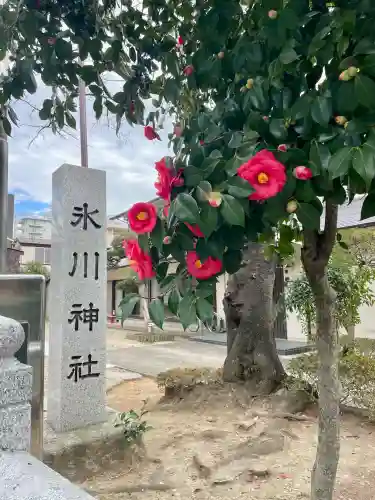 舟渡氷川神社の{uncategorized: "未分類", other: "その他", undefined: "問題あり", building: "その他建物", grave: "お墓", sacred_gate: "鳥居", guardian: "狛犬", statue: "像", buddha: "仏像", history: "歴史", nature: "自然", garden: "庭園", animal: "動物", pagoda: "塔", temizu: "手水舎", mountain_gate: "山門・神門", sanctuary: "本殿・本堂", subordinate: "末社・摂社", art: "芸術", scenery: "景色", jizo: "地蔵", ema: "絵馬", goshuin: "御朱印", omikuji: "おみくじ", items: "授与品その他", amulet: "お守り", goshuincho: "御朱印帳", eats: "食事", festival: "お祭り", votive_dance: "神楽", shichigosan: "七五三参", wedding: "結婚式", experience: "体験その他", initially: "初詣", around: "周辺", anti_infection: "感染症対策"}