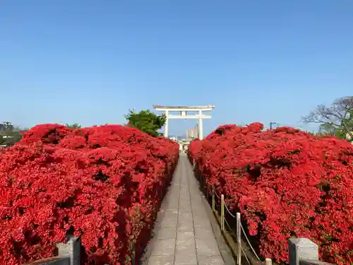 長岡天満宮の庭園