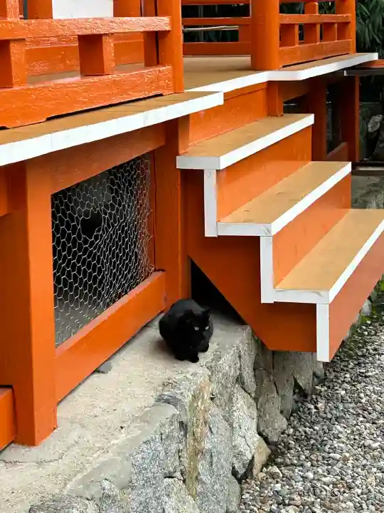 龍泉寺(愛知県)