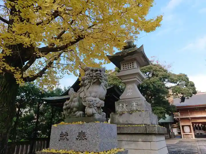 八幡大神社の狛犬