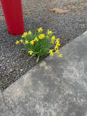 水無山神神社の自然