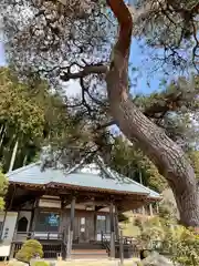 養福院の建物その他