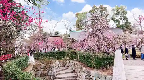 北野天満宮の庭園