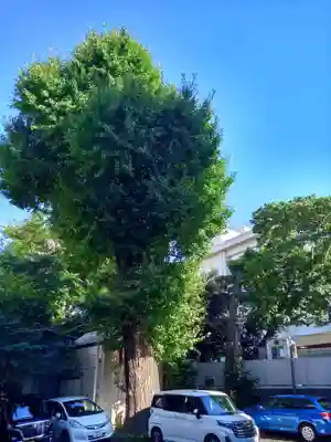 腰掛稲荷神社の自然