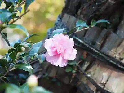 長壽寺（長寿寺）(神奈川県)