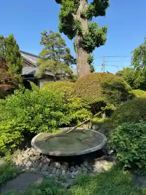 正覚院の{uncategorized: "未分類", other: "その他", undefined: "問題あり", building: "その他建物", grave: "お墓", sacred_gate: "鳥居", guardian: "狛犬", statue: "像", buddha: "仏像", history: "歴史", nature: "自然", garden: "庭園", animal: "動物", pagoda: "塔", temizu: "手水舎", mountain_gate: "山門・神門", sanctuary: "本殿・本堂", subordinate: "末社・摂社", art: "芸術", scenery: "景色", jizo: "地蔵", ema: "絵馬", goshuin: "御朱印", omikuji: "おみくじ", items: "授与品その他", amulet: "お守り", goshuincho: "御朱印帳", eats: "食事", festival: "お祭り", votive_dance: "神楽", shichigosan: "七五三参", wedding: "結婚式", experience: "体験その他", initially: "初詣", around: "周辺", anti_infection: "感染症対策"}