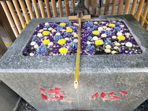 高円寺氷川神社の手水舎