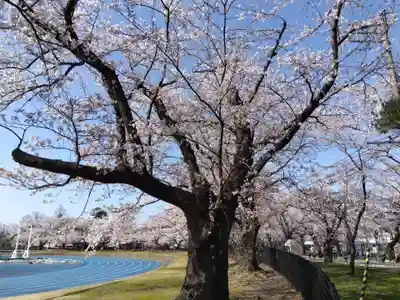 伊部波島大神(新潟県)
