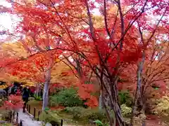 宝筐院(京都府)