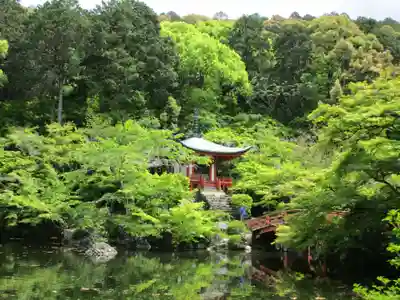醍醐寺（上醍醐）(京都府)