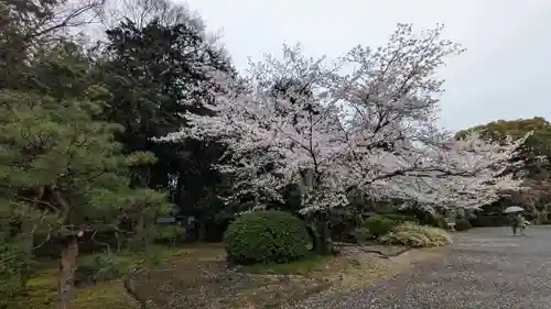 隨心院（随心院）(京都府)