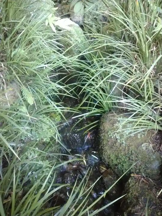 報国寺(神奈川県)