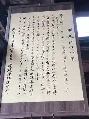 鹿嶋神社の歴史