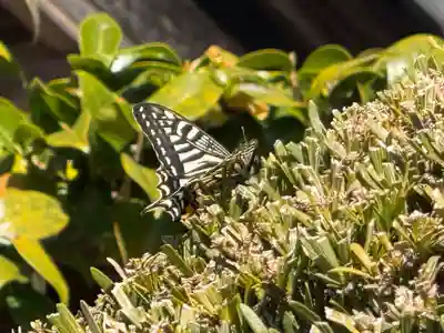 西方山極楽寺(岐阜県)