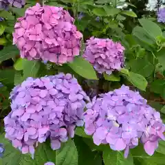 豊景神社の自然