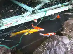 椿大神社(三重県)