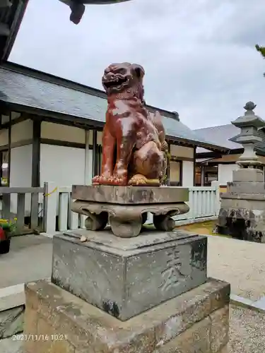 大洗磯前神社の狛犬