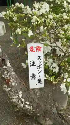 旗上弁財天社のその他建物