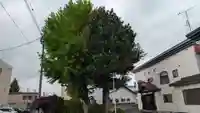 佛興寺(北海道)