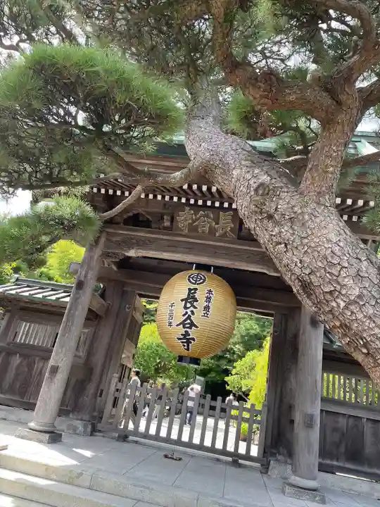 長谷寺(神奈川県)