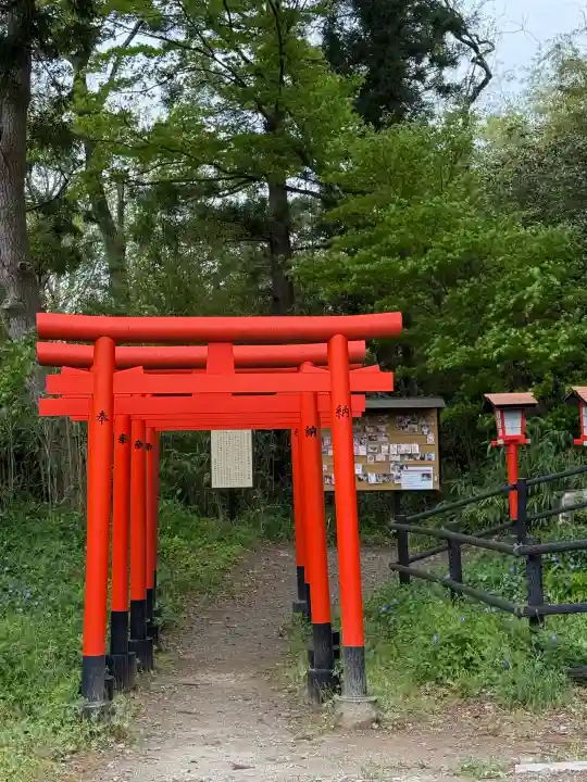 西坂ねこ稲荷神社の{uncategorized: "未分類", other: "その他", undefined: "問題あり", building: "その他建物", grave: "お墓", sacred_gate: "鳥居", guardian: "狛犬", statue: "像", buddha: "仏像", history: "歴史", nature: "自然", garden: "庭園", animal: "動物", pagoda: "塔", temizu: "手水舎", mountain_gate: "山門・神門", sanctuary: "本殿・本堂", subordinate: "末社・摂社", art: "芸術", scenery: "景色", jizo: "地蔵", ema: "絵馬", goshuin: "御朱印", omikuji: "おみくじ", items: "授与品その他", amulet: "お守り", goshuincho: "御朱印帳", eats: "食事", festival: "お祭り", votive_dance: "神楽", shichigosan: "七五三参", wedding: "結婚式", experience: "体験その他", initially: "初詣", around: "周辺", anti_infection: "感染症対策"}