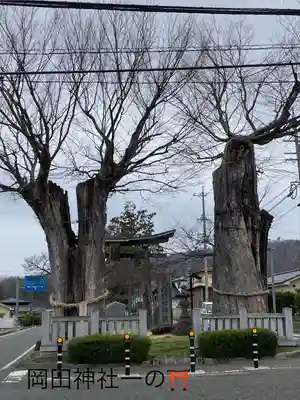 岡田神社(長野県)
