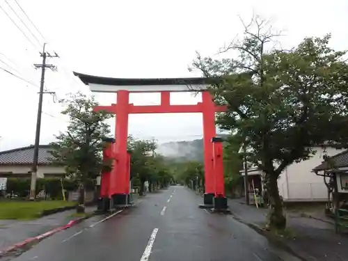 鹿児島神宮の鳥居