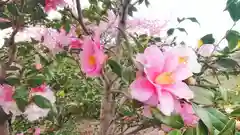 尾張大國霊神社（国府宮）の自然