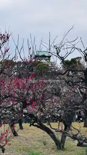 豊國神社の{uncategorized: "未分類", other: "その他", undefined: "問題あり", building: "その他建物", grave: "お墓", sacred_gate: "鳥居", guardian: "狛犬", statue: "像", buddha: "仏像", history: "歴史", nature: "自然", garden: "庭園", animal: "動物", pagoda: "塔", temizu: "手水舎", mountain_gate: "山門・神門", sanctuary: "本殿・本堂", subordinate: "末社・摂社", art: "芸術", scenery: "景色", jizo: "地蔵", ema: "絵馬", goshuin: "御朱印", omikuji: "おみくじ", items: "授与品その他", amulet: "お守り", goshuincho: "御朱印帳", eats: "食事", festival: "お祭り", votive_dance: "神楽", shichigosan: "七五三参", wedding: "結婚式", experience: "体験その他", initially: "初詣", around: "周辺", anti_infection: "感染症対策"}