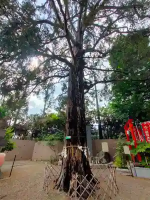 下神明天祖神社(東京都)