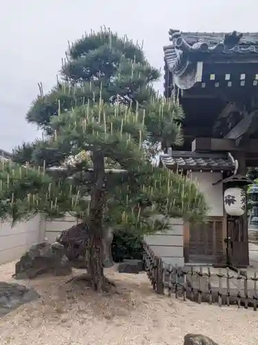 正光寺(東京都)