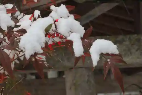 鹿島大神宮の自然