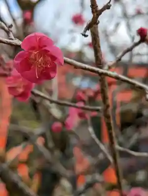 賀茂御祖神社（下鴨神社）(京都府)