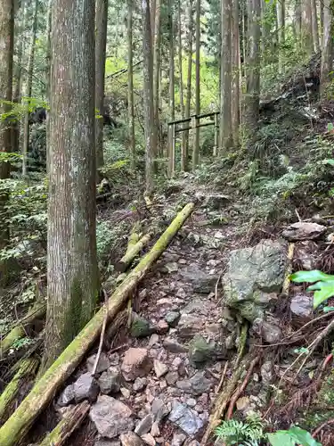 聖神社(高知県)