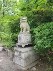 報徳二宮神社の狛犬